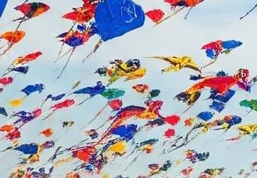 kite_small